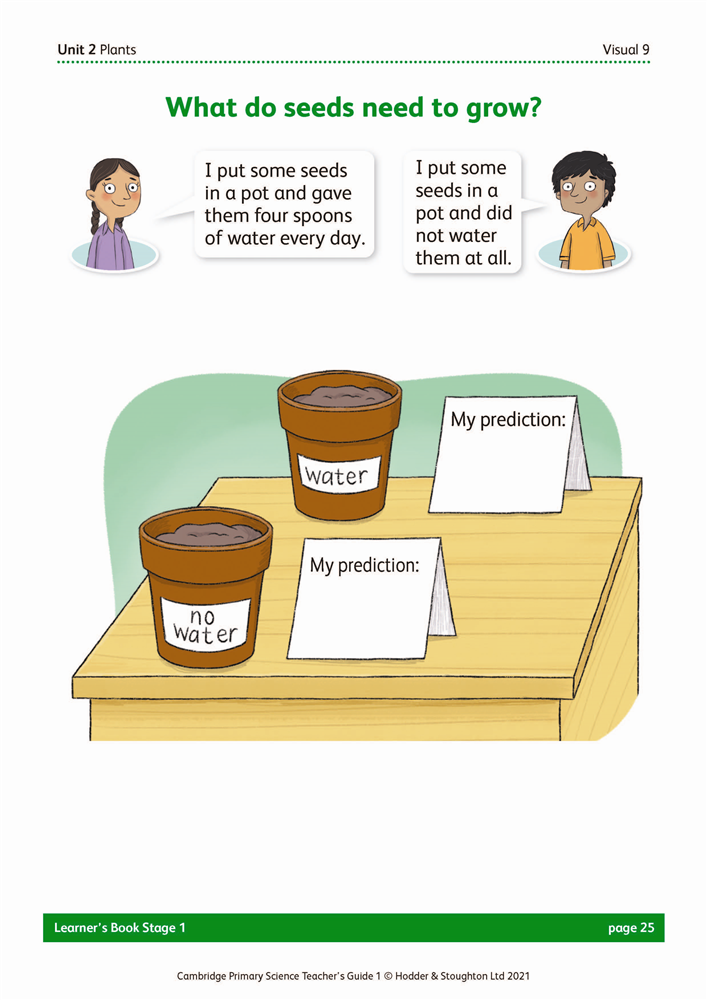 Visual 9 What do seeds need to grow Boost