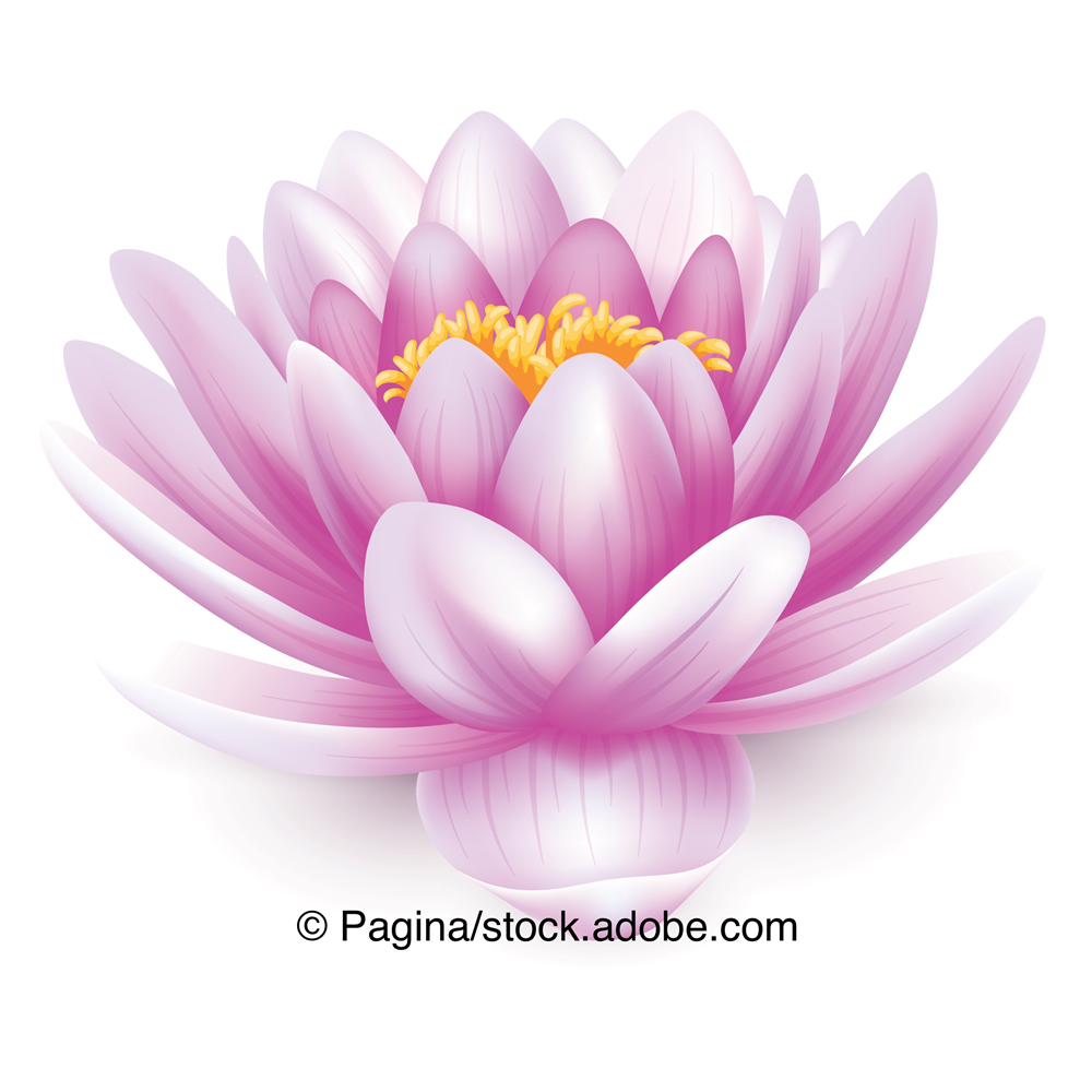 The lotus flower represents karma, the law of cause and effect. Boost