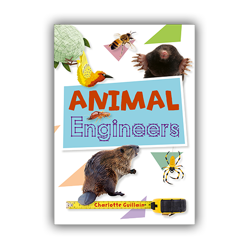 Boost Learning - Courses | Resources | Lessons | eBooks | Knowledge Tests